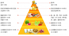 儿童樱花草视频在线观看www波多野结衣品牌厂家讲述营养在人的一生中起着至关重要的作用