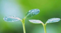 超声波樱花草在线观看高清免费视频韩国儿童生长发育测试仪厂家告诉你孩子长高个的秘密，再也不用担心宝宝长不高了