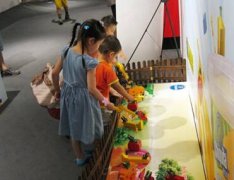 樱花草视频在线观看免费高清解读智力的主要表现形式提高智