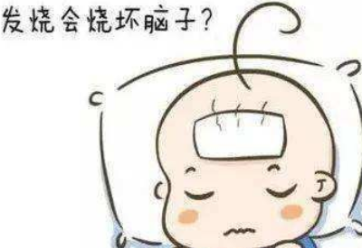 樱花草视频在线观看免费高清品牌揭示发烧真的会烧坏脑子吗